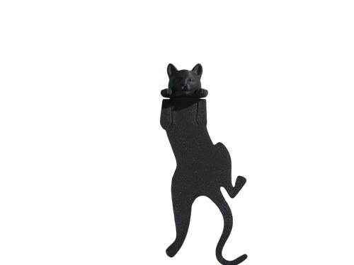 Gato Negro