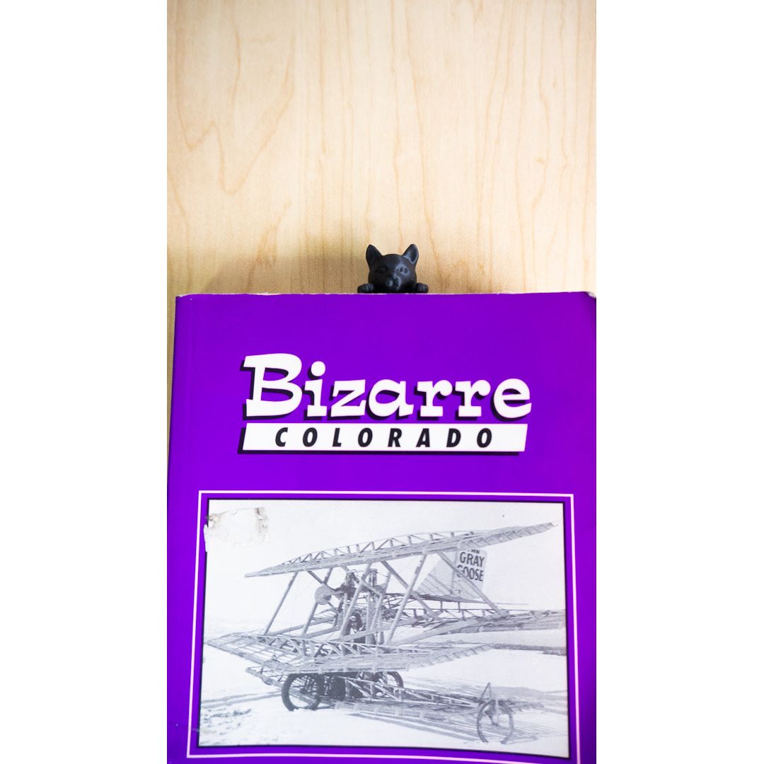 👑 Separador de libros exclusivo