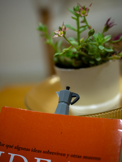 👑 Separador de libros exclusivo